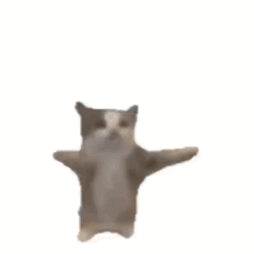 a9fbd437bf2255bf60b6bff1fabf4bed